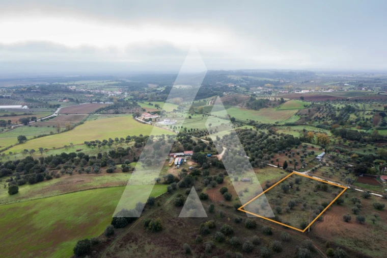 Terreno para Venda em Brogueira, Parceiros de Igreja e Alcorochel Foto 12