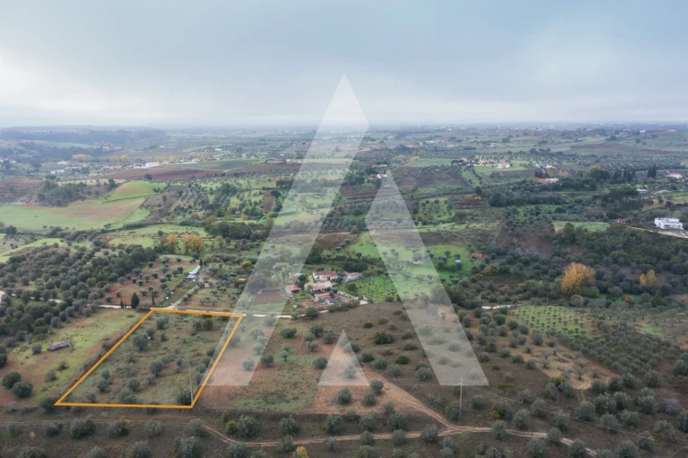Terreno para Venda em Brogueira, Parceiros de Igreja e Alcorochel Foto 13