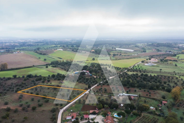 Terreno para Venda em Brogueira, Parceiros de Igreja e Alcorochel Foto 16