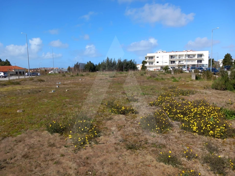 Terreno para Venda em Ovar, São João, Arada e São Vicente de Pereira Jusã Foto 1