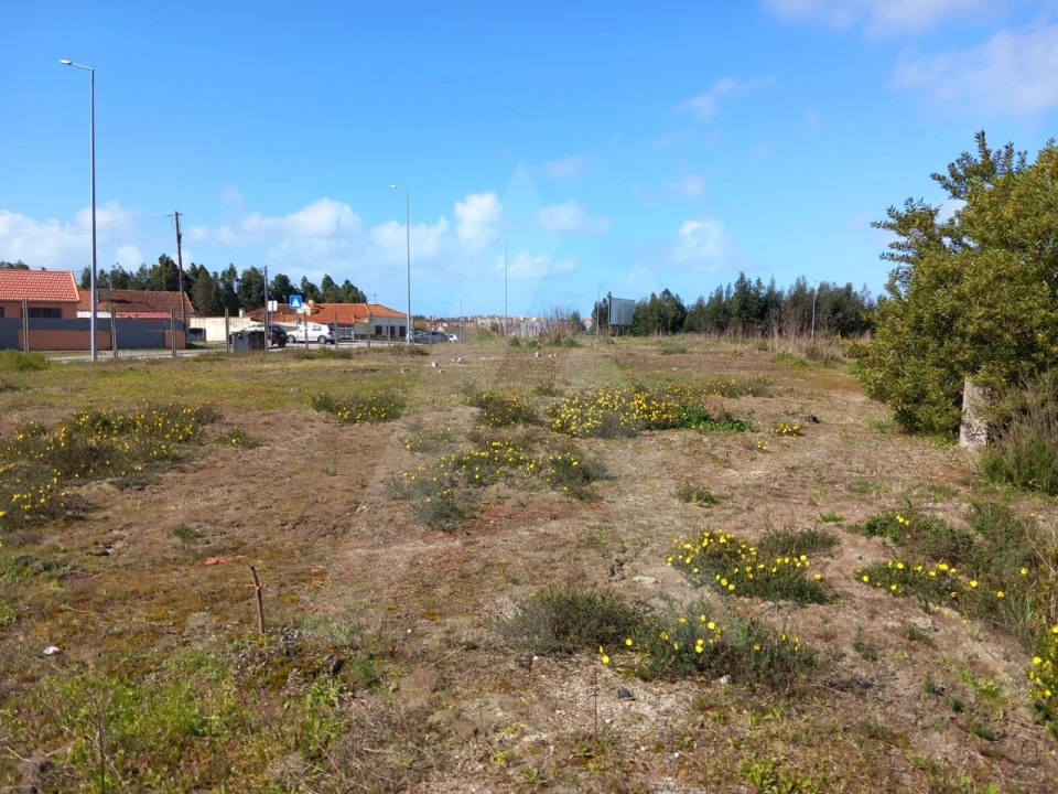 Terreno para Venda em Ovar, São João, Arada e São Vicente de Pereira Jusã Foto 5