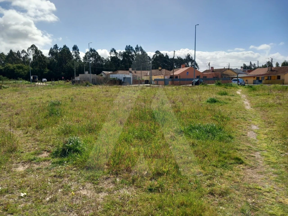 Terreno para Venda em Ovar, São João, Arada e São Vicente de Pereira Jusã Foto 13