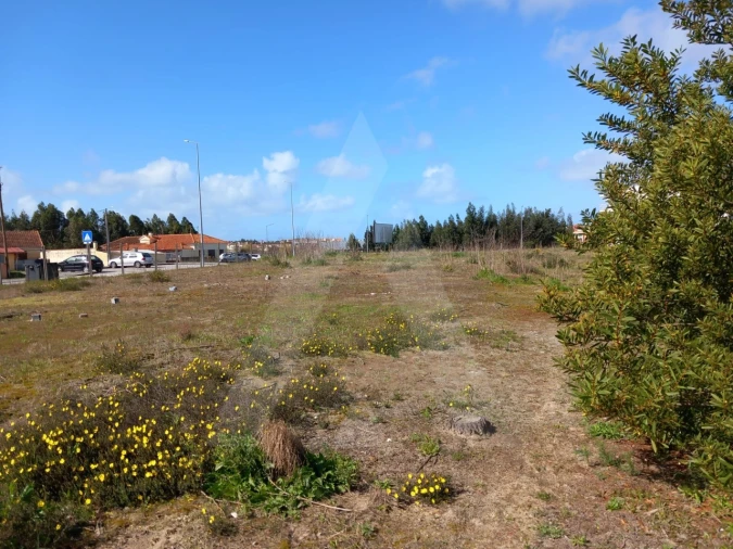 Terreno para Venda em Ovar, São João, Arada e São Vicente de Pereira Jusã Foto 2
