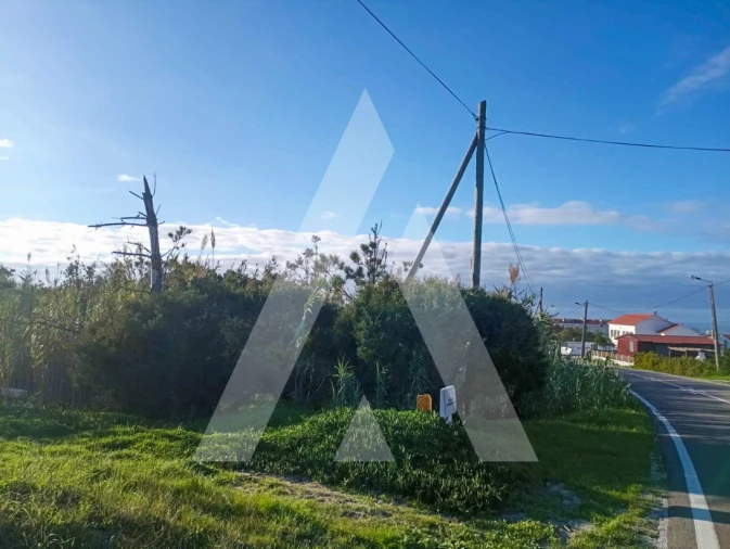 Terreno para Venda em Coimbrão Foto 4