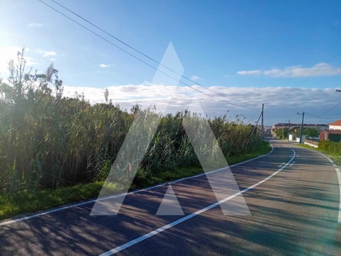 Terreno para Venda em Coimbrão Foto 5