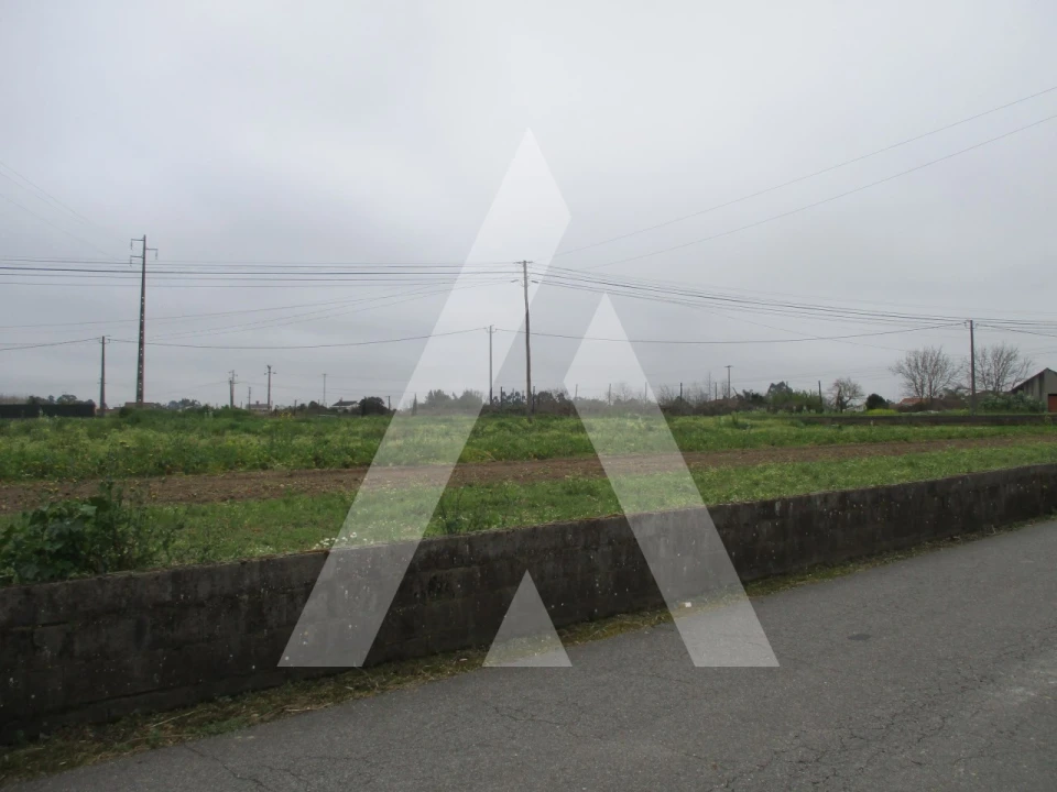 Terreno para Venda em Bustos, Troviscal e Mamarrosa Foto 1