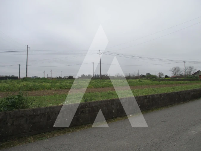 Terreno para Venda em Bustos, Troviscal e Mamarrosa Foto 1