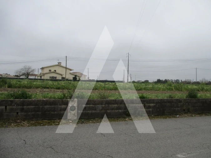 Terreno para Venda em Bustos, Troviscal e Mamarrosa Foto 3