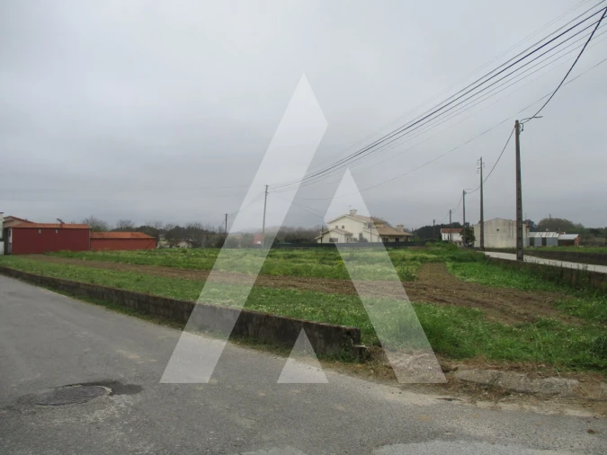 Terreno para Venda em Bustos, Troviscal e Mamarrosa Foto 4