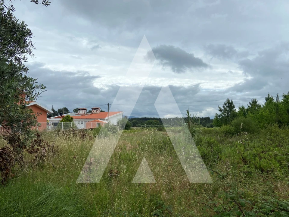 Terreno para Venda em São Lourenço do Bairro Foto 1