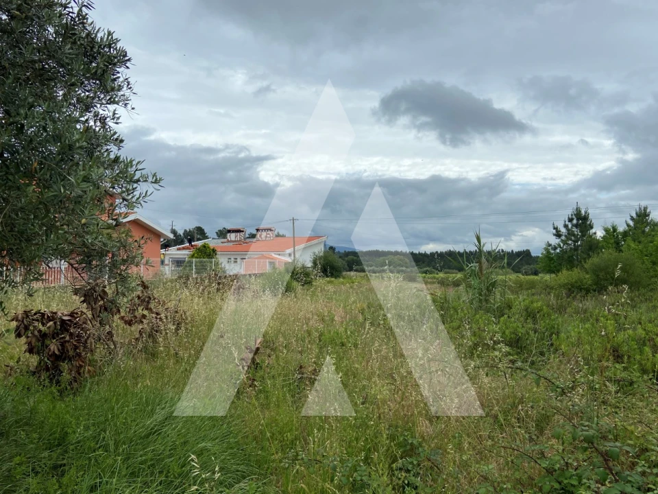 Terreno para Venda em São Lourenço do Bairro Foto 3