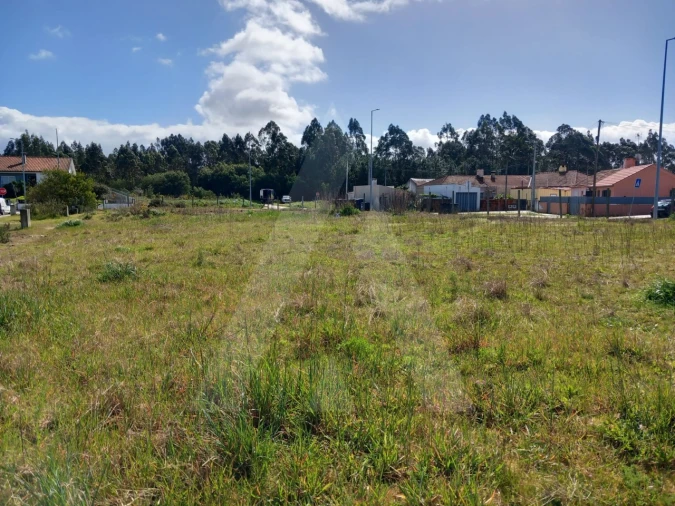 Terreno para Venda em Ovar, São João, Arada e São Vicente de Pereira Jusã Foto 4