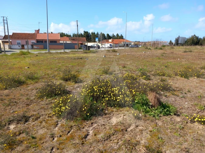 Terreno para Venda em Ovar, São João, Arada e São Vicente de Pereira Jusã Foto 7