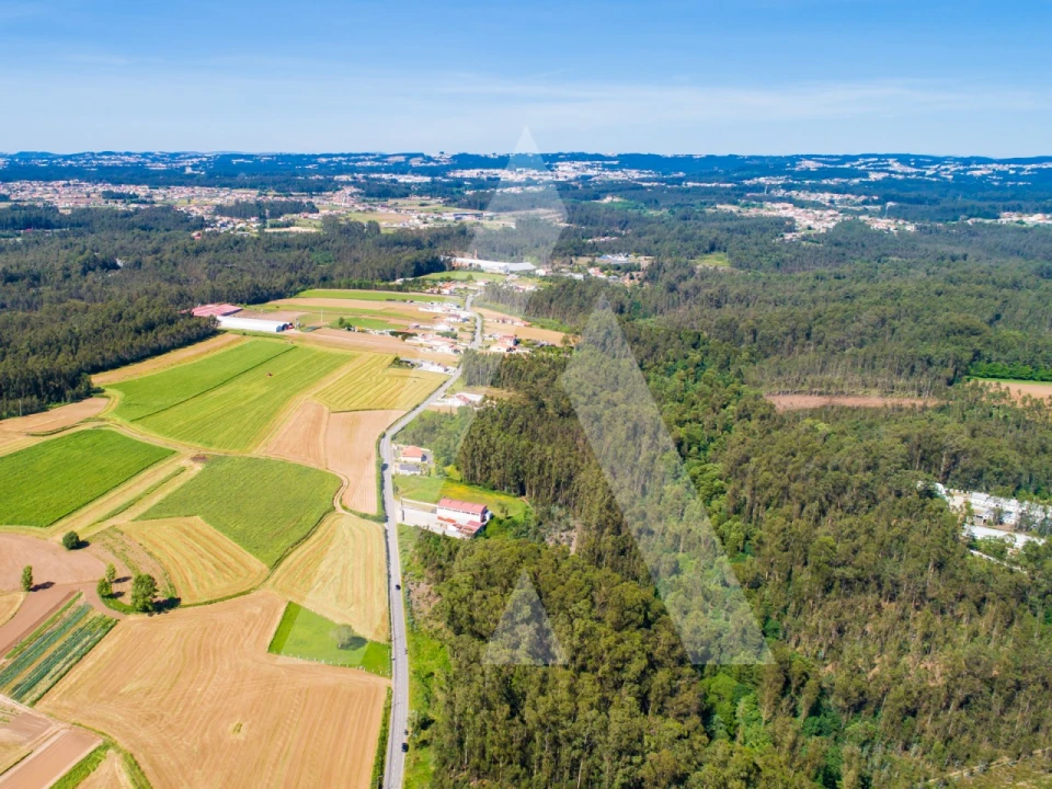 Terreno para Venda em Ovar, São João, Arada e São Vicente de Pereira Jusã Foto 6