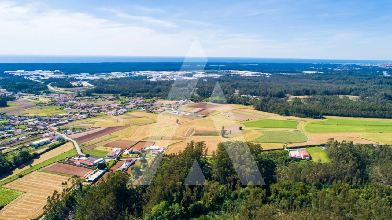 Terreno para Venda em Ovar, São João, Arada e São Vicente de Pereira Jusã Foto 10