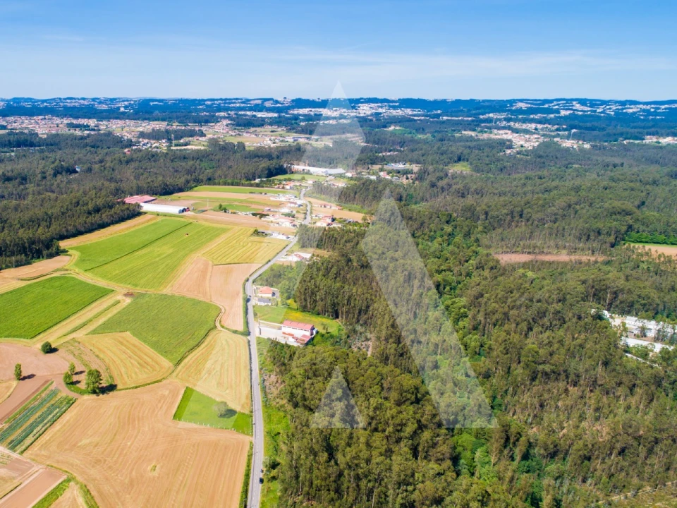 Terreno para Venda em Ovar, São João, Arada e São Vicente de Pereira Jusã Foto 11