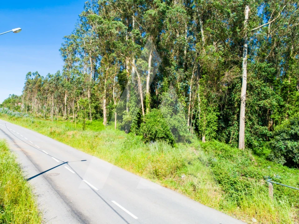 Terreno para Venda em Ovar, São João, Arada e São Vicente de Pereira Jusã Foto 21