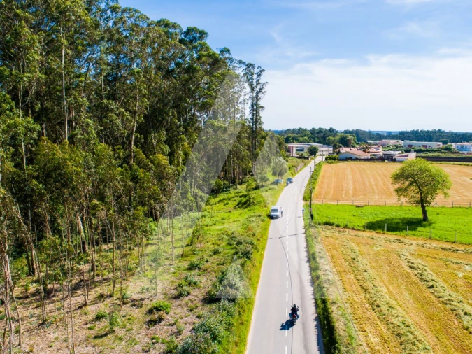 Terreno para Venda em Ovar, São João, Arada e São Vicente de Pereira Jusã Foto 15
