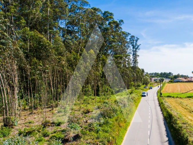 Terreno para Venda em Ovar, São João, Arada e São Vicente de Pereira Jusã Foto 16