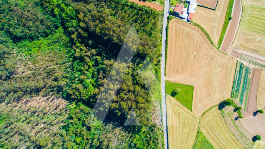 Terreno para Venda em Ovar, São João, Arada e São Vicente de Pereira Jusã Foto 17