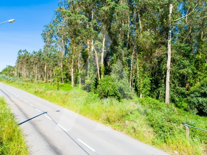 Terreno para Venda em Ovar, São João, Arada e São Vicente de Pereira Jusã Foto 21