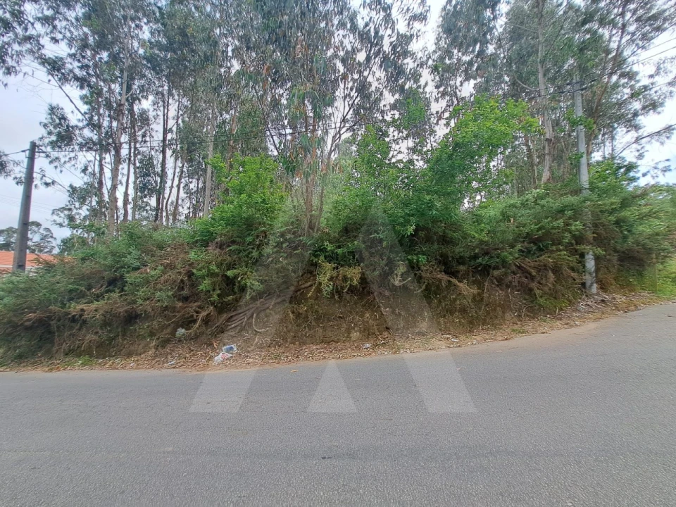 Terreno para Venda em Argoncilhe Foto 3