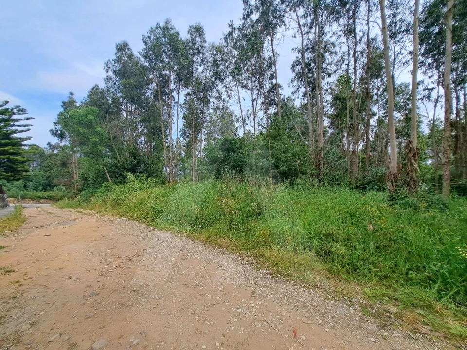 Terreno para Venda em Argoncilhe Foto 6