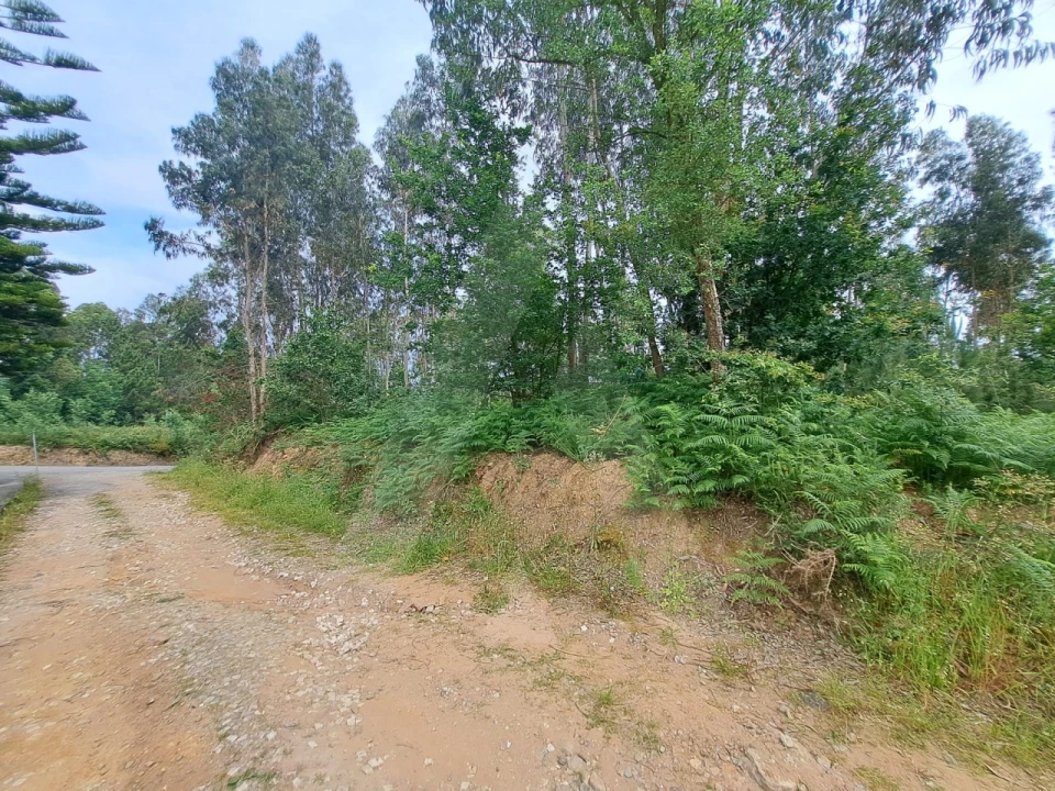 Terreno para Venda em Argoncilhe Foto 7