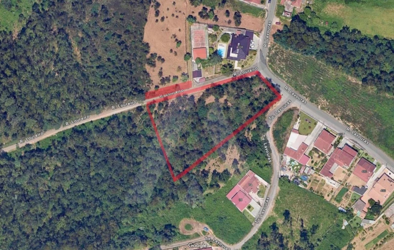 Terreno para Venda em Argoncilhe