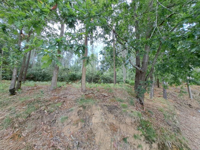 Terreno para Venda em Argoncilhe Foto 10