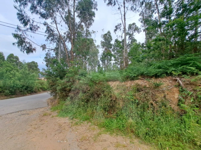 Terreno para Venda em Argoncilhe Foto 5