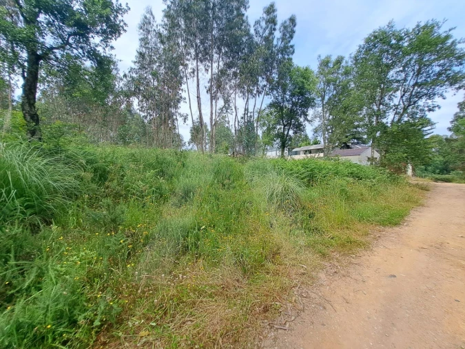 Terreno para Venda em Argoncilhe Foto 8