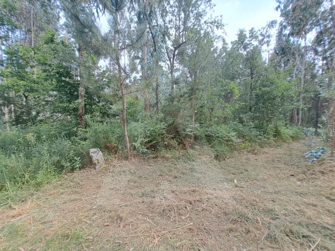 Terreno para Venda em Argoncilhe Foto 12