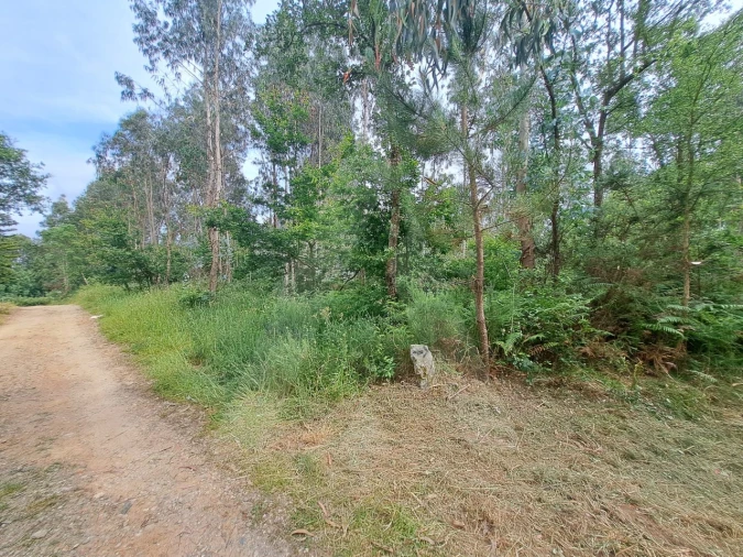 Terreno para Venda em Argoncilhe Foto 9