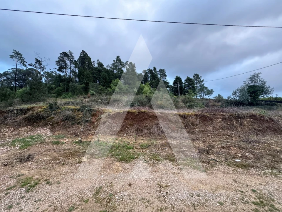 Terreno para Venda em Assafarge e Antanhol Foto 4