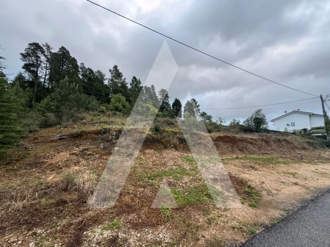 Terreno para Venda em Assafarge e Antanhol Foto 6