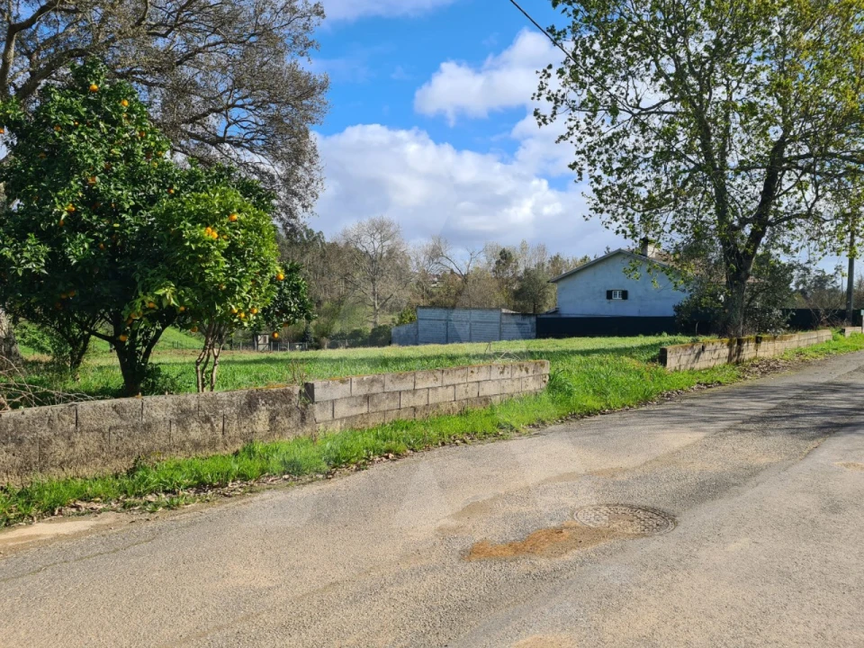Terreno para Venda em Valongo do Vouga Foto 4