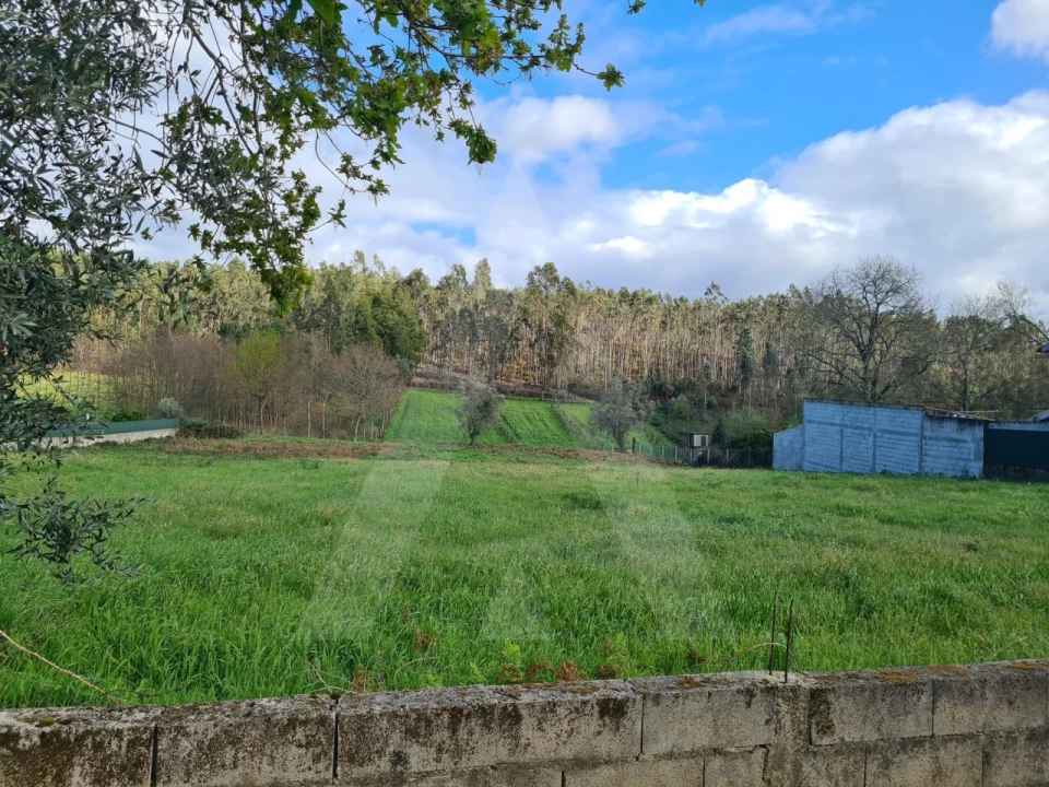Terreno para Venda em Valongo do Vouga Foto 5