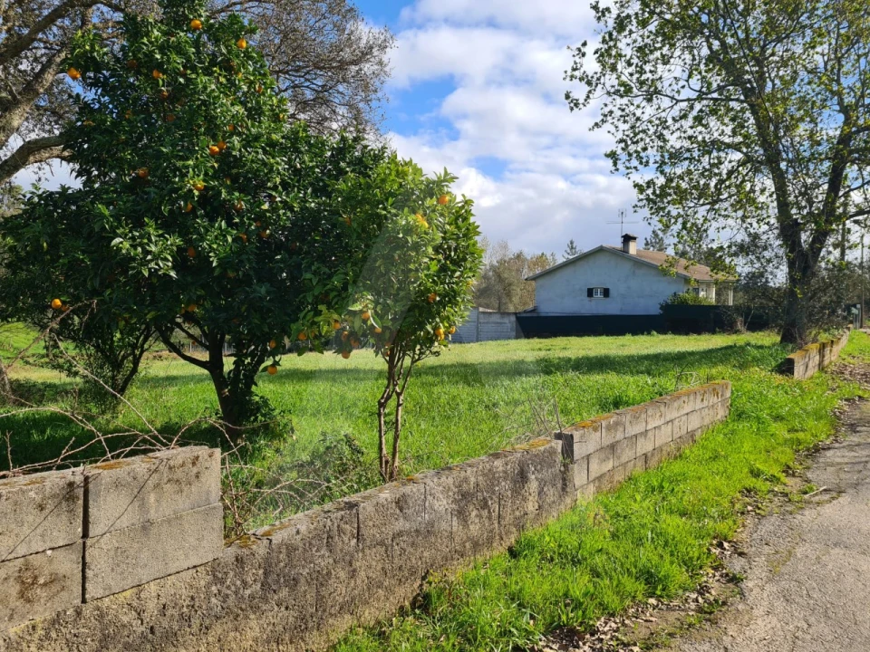 Terreno para Venda em Valongo do Vouga Foto 8