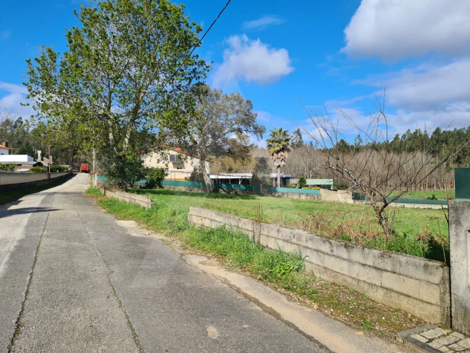Terreno para Venda em Valongo do Vouga Foto 11