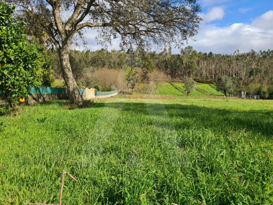 Terreno para Venda em Valongo do Vouga Foto 12