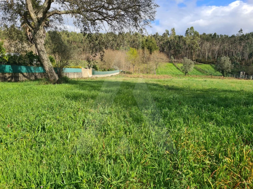 Terreno para Venda em Valongo do Vouga Foto 13