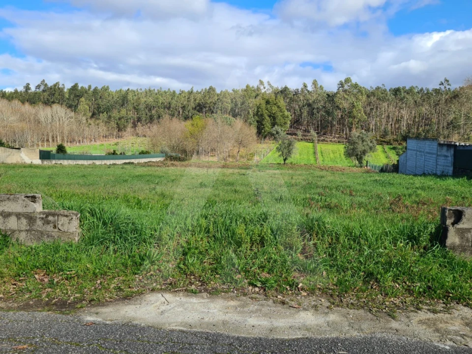 Terreno para Venda em Valongo do Vouga Foto 14