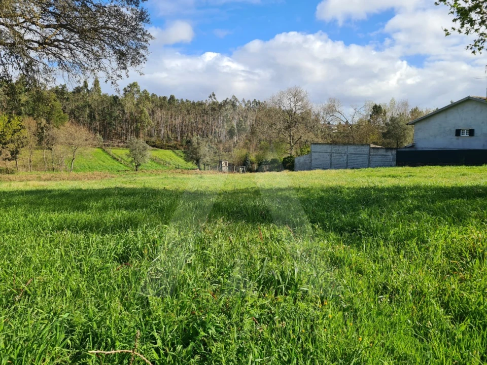 Terreno para Venda em Valongo do Vouga Foto 15