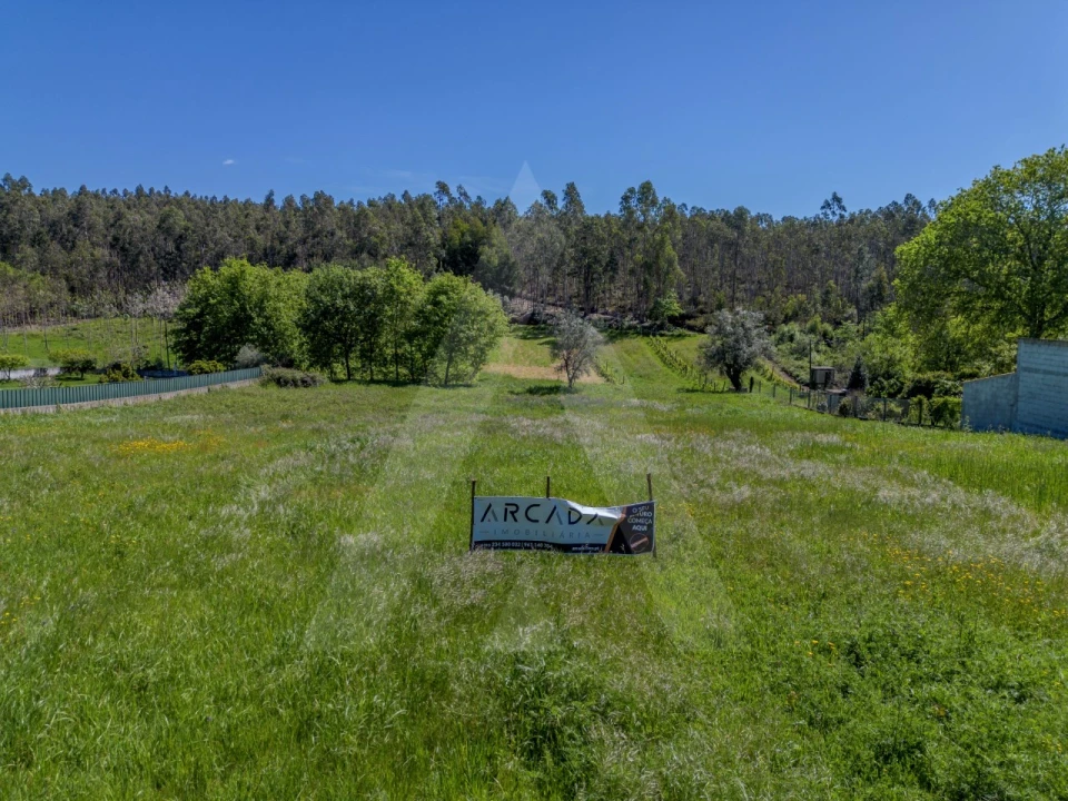 Terreno para Venda em Valongo do Vouga Foto 3