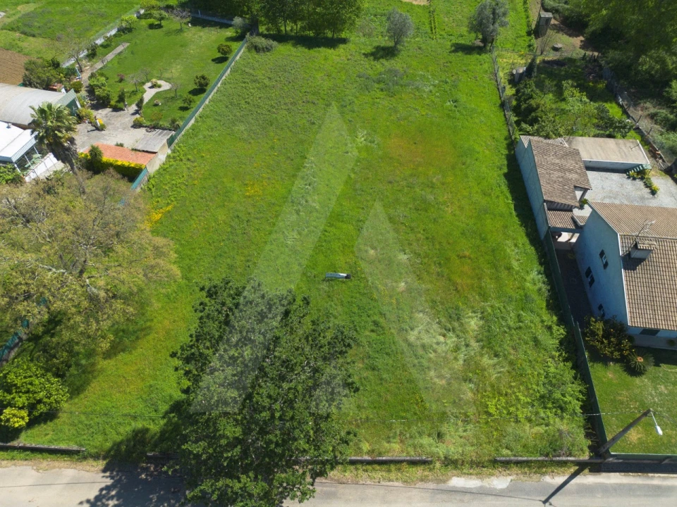 Terreno para Venda em Valongo do Vouga Foto 6