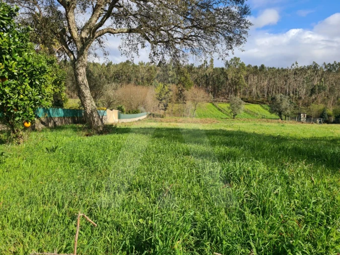 Terreno para Venda em Valongo do Vouga Foto 12