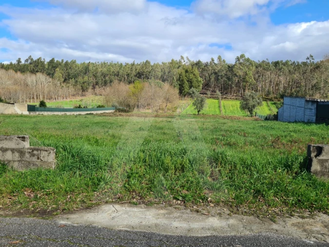 Terreno para Venda em Valongo do Vouga Foto 14