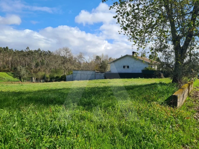 Terreno para Venda em Valongo do Vouga Foto 17
