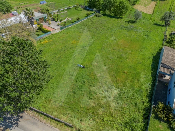 Terreno para Venda em Valongo do Vouga Foto 7